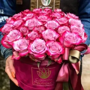 Ljubičaste ruže u kutiji
