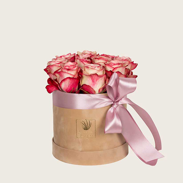 paloma-ruže-u-kutiji