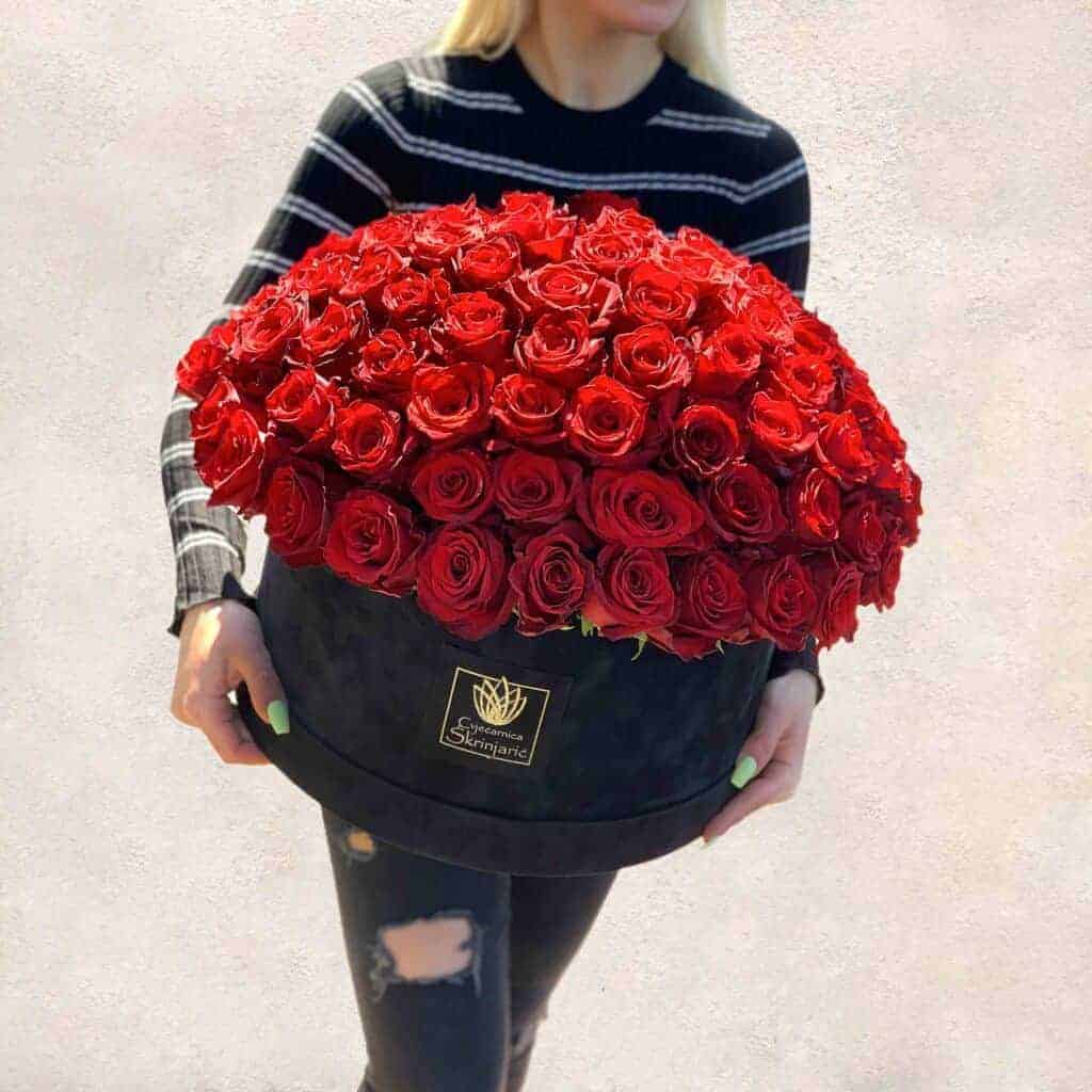 101a51226-1024×1024-1