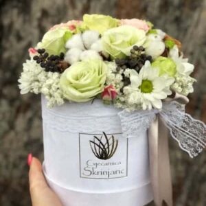 IMG_1626_edited IMG_1626_edited