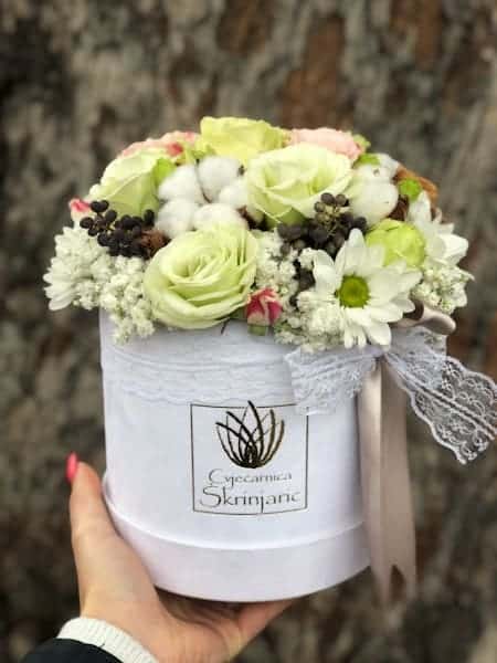 IMG_1626_edited IMG_1626_edited