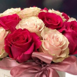 IMG_2048-1160×650-1