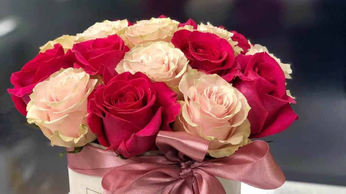 IMG_2048-1160×650-1