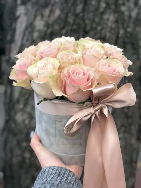 IMG_2531_edited IMG_2531_edited