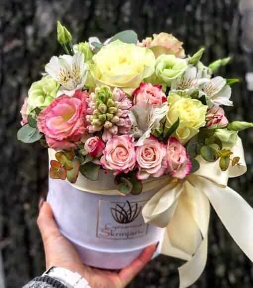 IMG_3315_edited-510×580-1 IMG_3315_edited-510×580-1