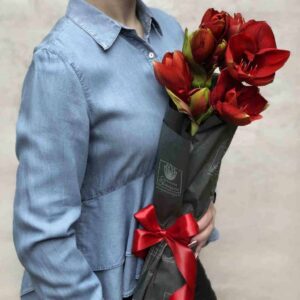 IMG_4804lhkrzj-small-1024×1024-1 IMG_4804lhkrzj-small-1024×1024-1