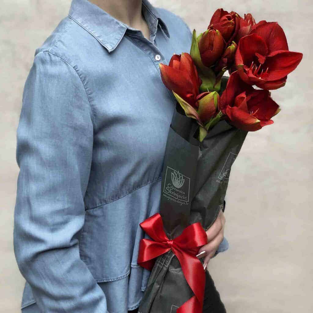 IMG_4804lhkrzj-small-1024×1024-1 IMG_4804lhkrzj-small-1024×1024-1