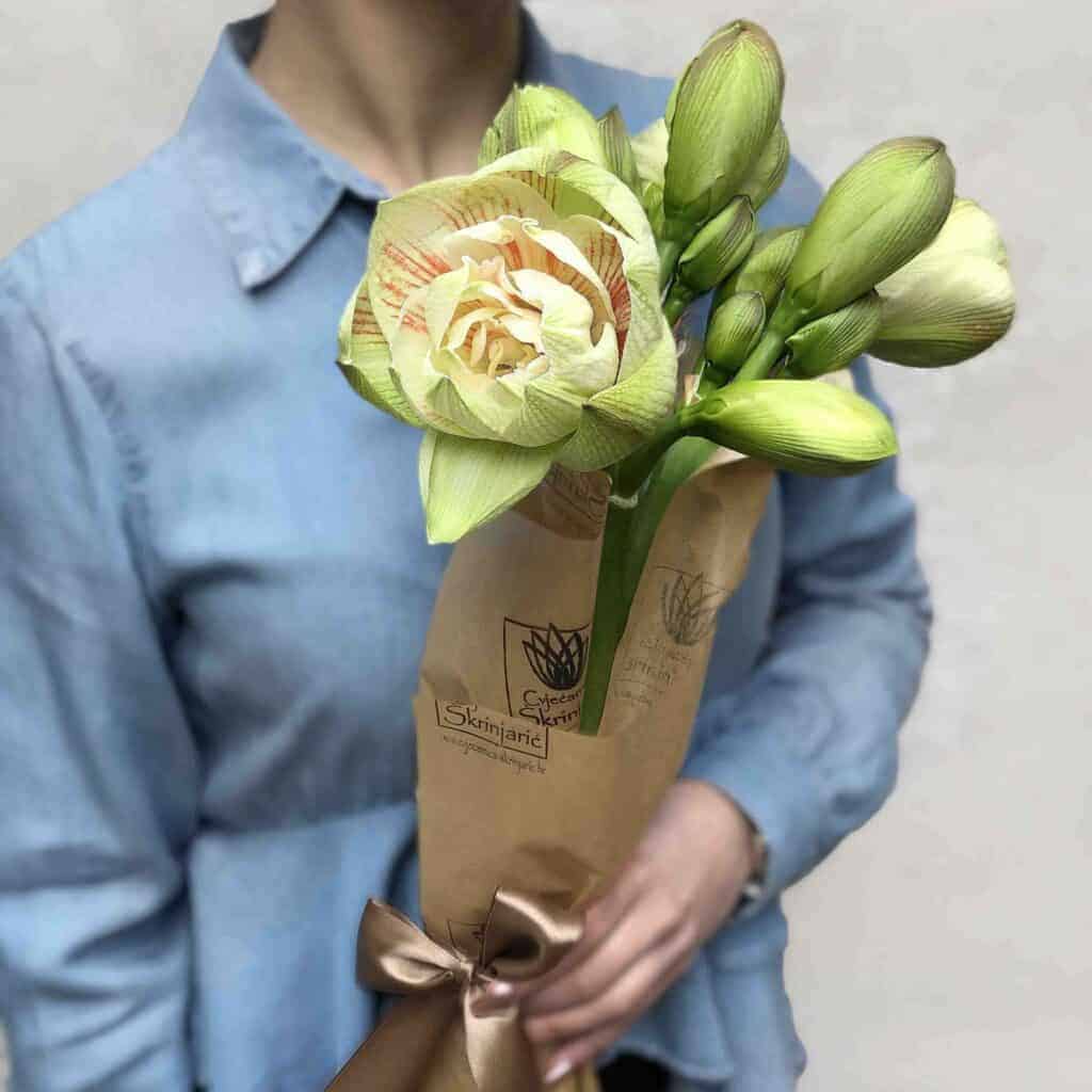 IMG_4uk814jztk-small-1024×1024-1 IMG_4uk814jztk-small-1024×1024-1