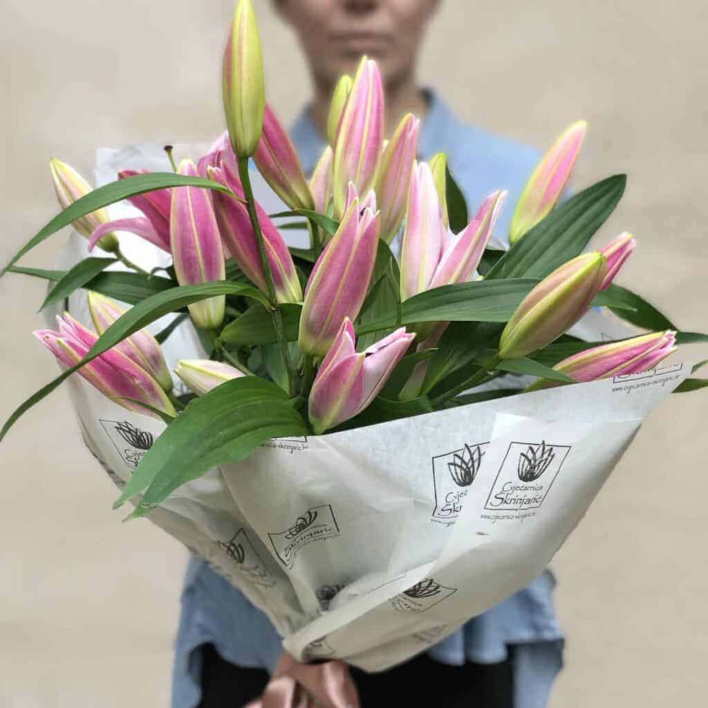 IMG_E4793fgtjrtjsmall-1024×1024-1