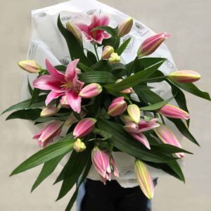 IMG_E4797hdytherhdhythedrh-1024×1024-1