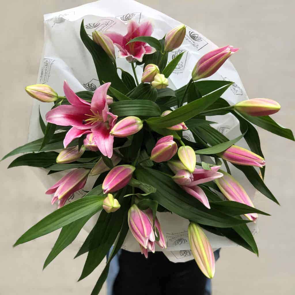 IMG_E4797hdytherhdhythedrh-1024×1024-1