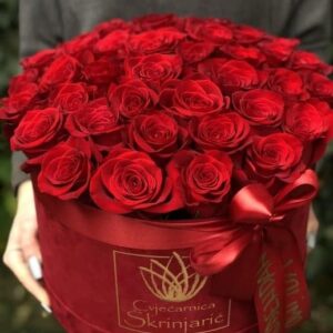 crvene-ruze-u-crvenoj-kutiji-logo