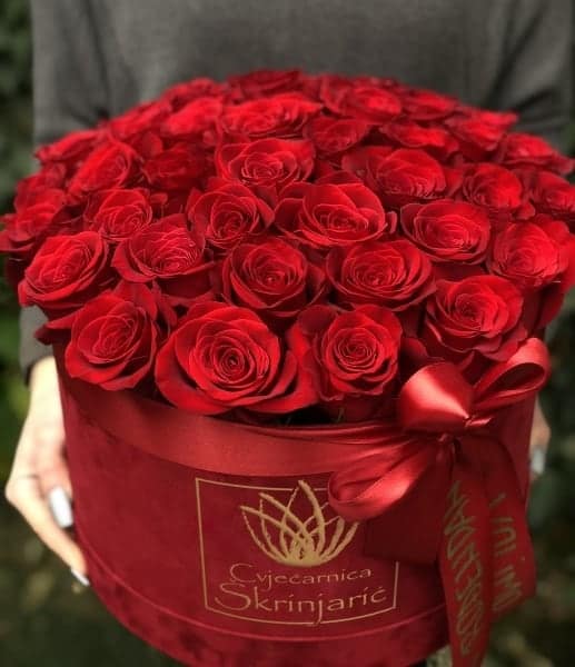 crvene-ruze-u-crvenoj-kutiji-logo