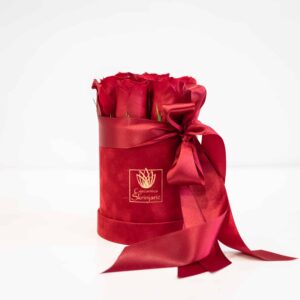 crvene-ruze-u-kutiji-8