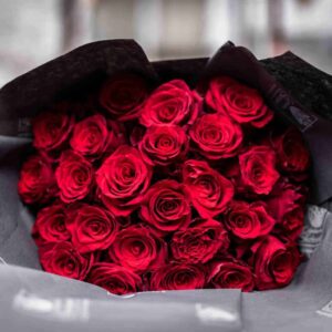 d-1024×1024-1 d-1024×1024-1