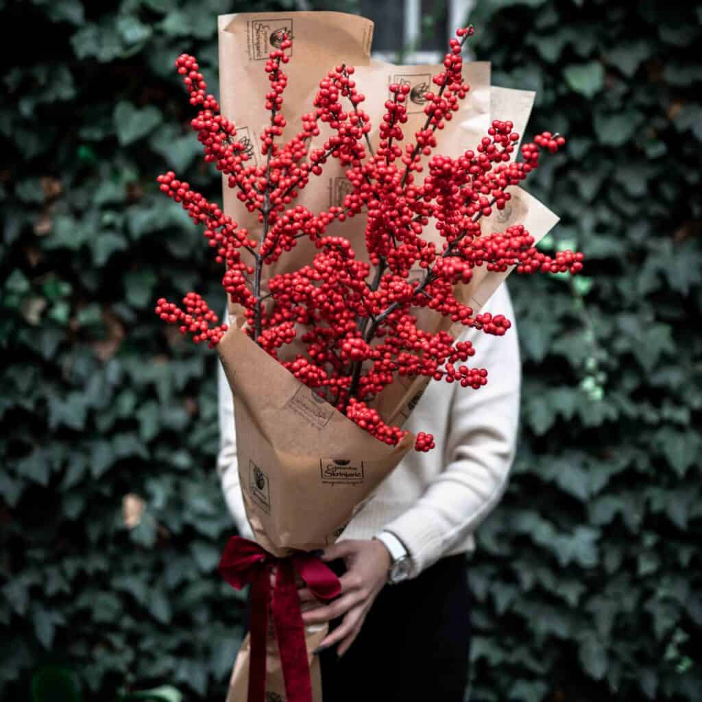 ilexxxIMG_7266-1024×1024-1