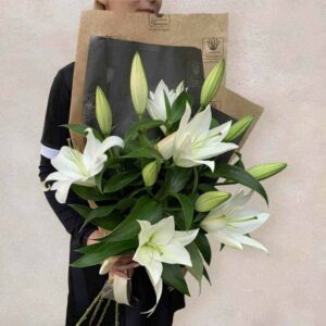 ljiljan-1024×1024-1