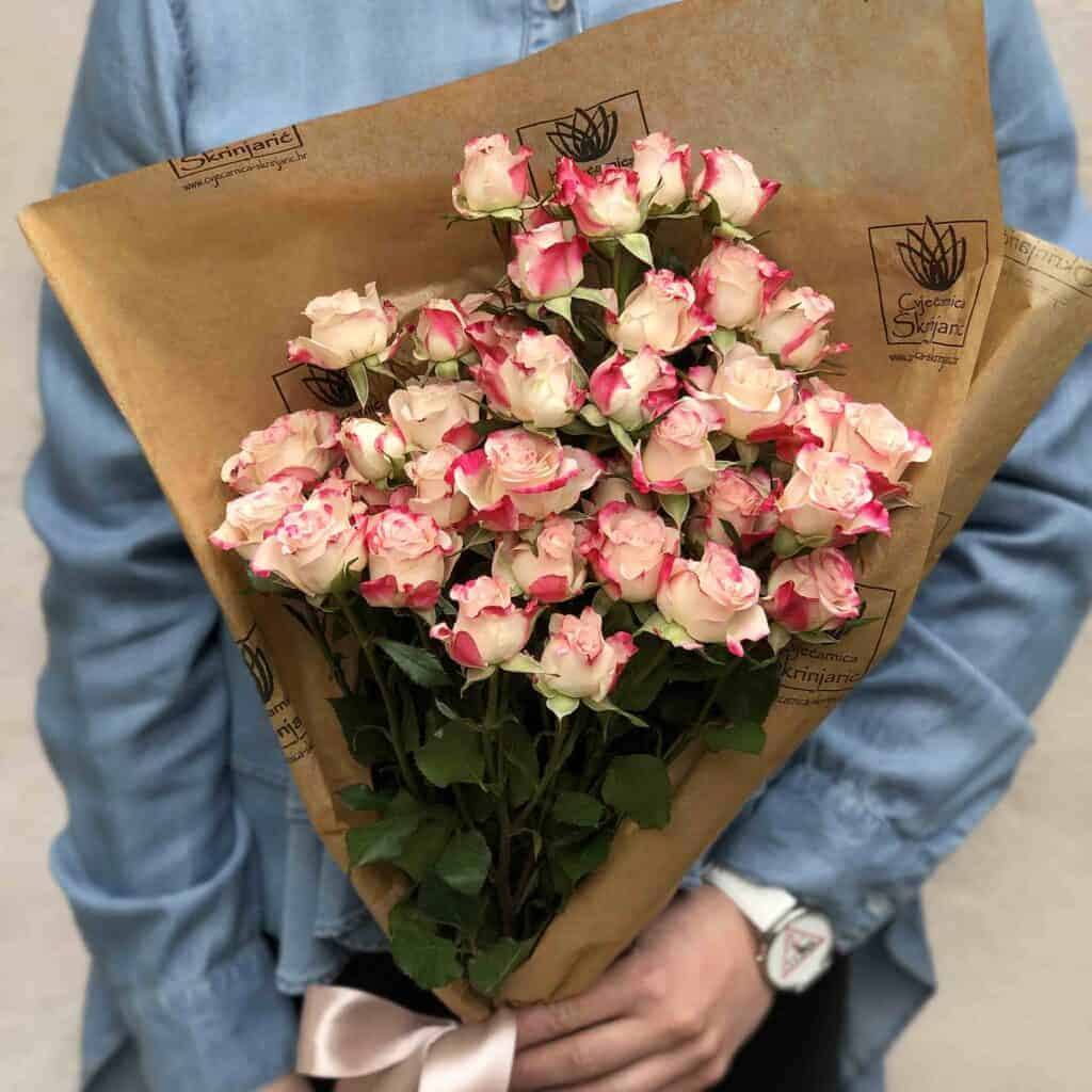 minice-small-1024×1024-1