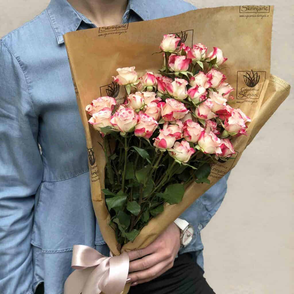 minice2-small-1024×1024-1