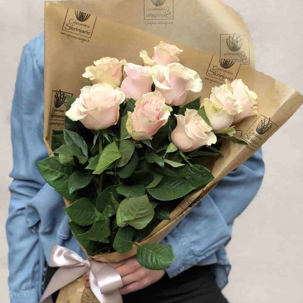 rsjzjrj-1024×1024-1