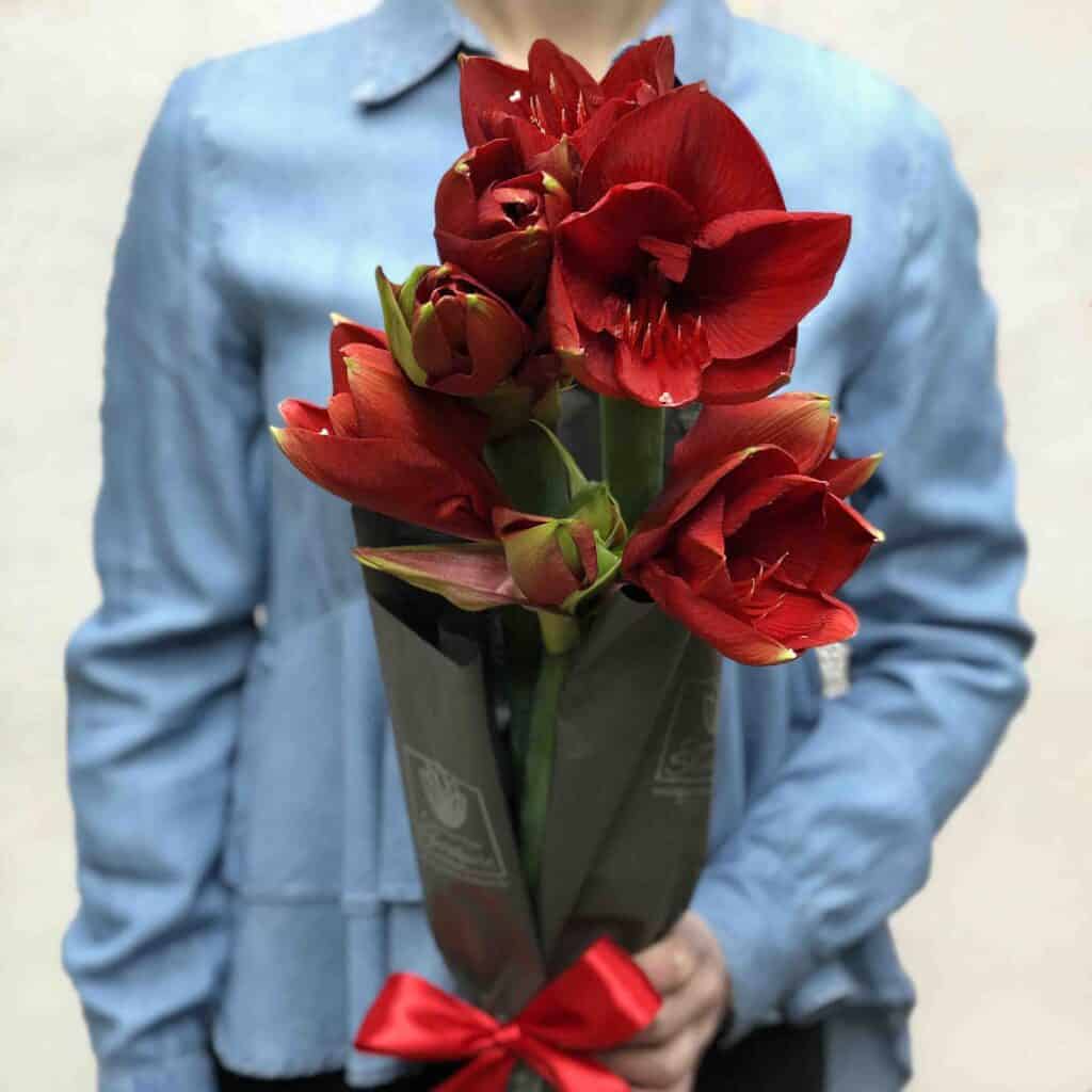 tugktu-small-1024×1024-1 tugktu-small-1024×1024-1