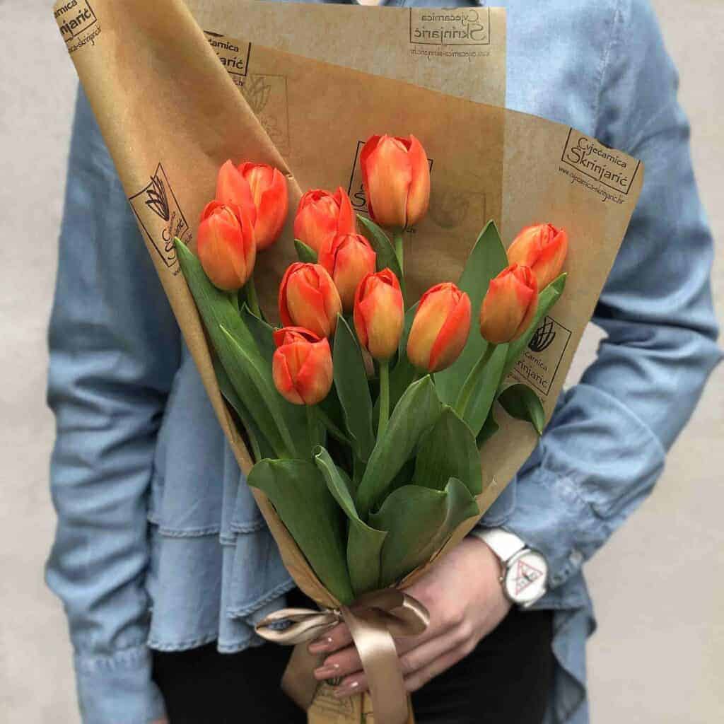 tulipani-narancasti-small-1024×1024-1