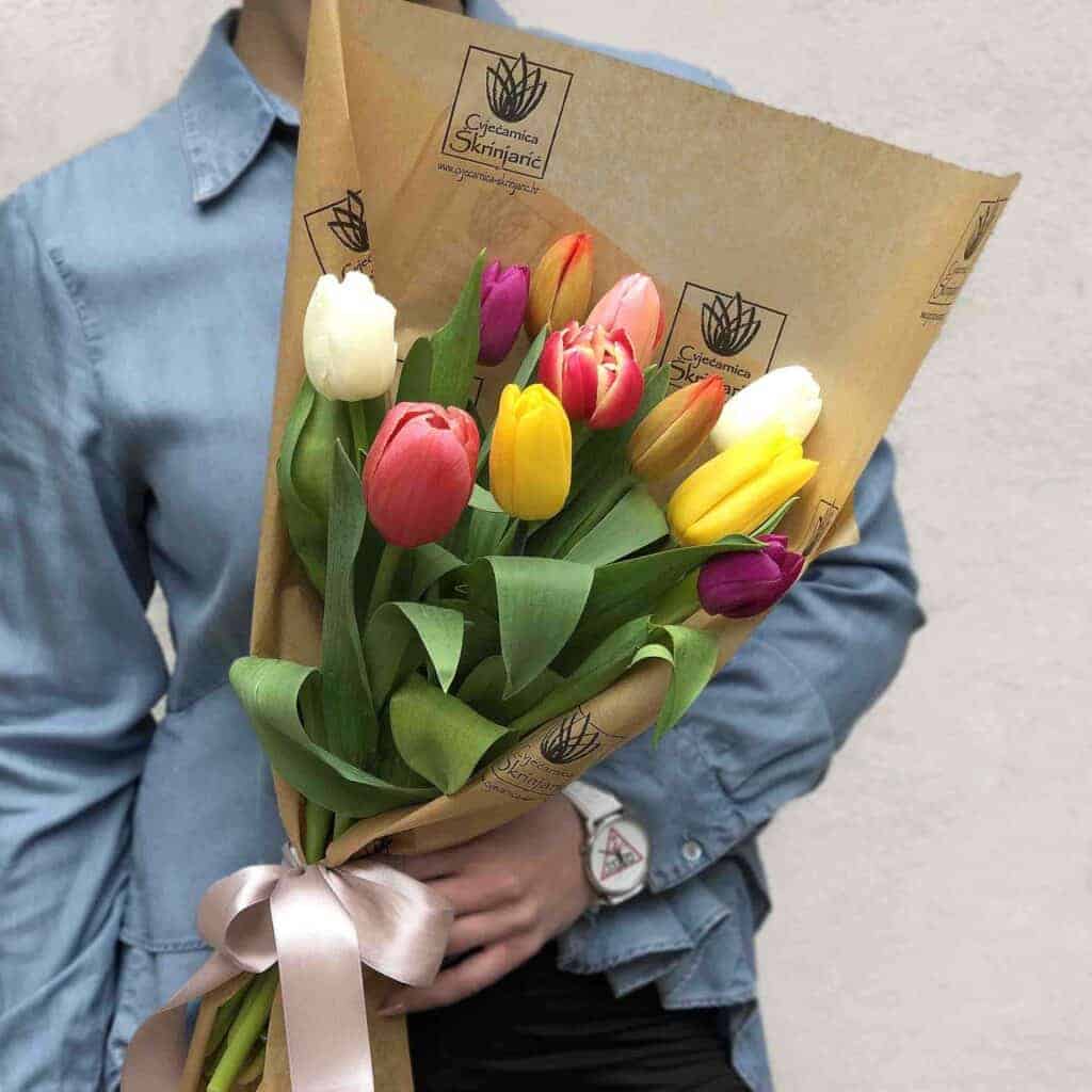 tulipani-sareni-small-1024×1024-1