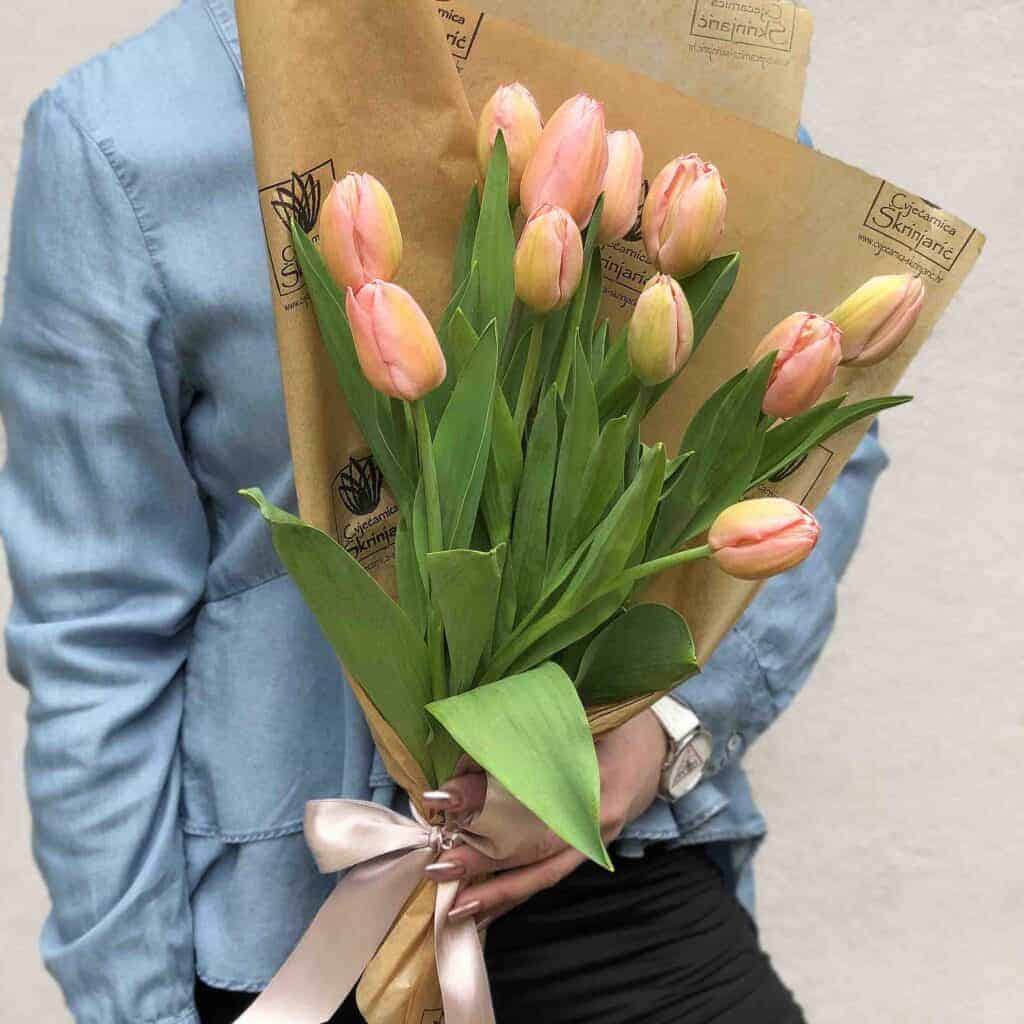 tulipani-svijetlo-rozi-small-1024×1024-1