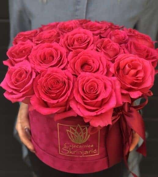 uredena-6-517×580-1