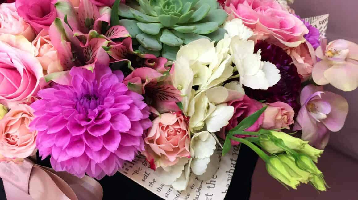 uredenaaaa4-1160×650-1