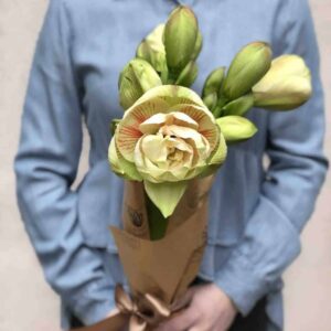 web-slike-noveoto7t8ooo9-uredene-small-1024×1024-1 web-slike-noveoto7t8ooo9-uredene-small-1024×1024-1